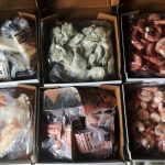 Seafood Variety Case